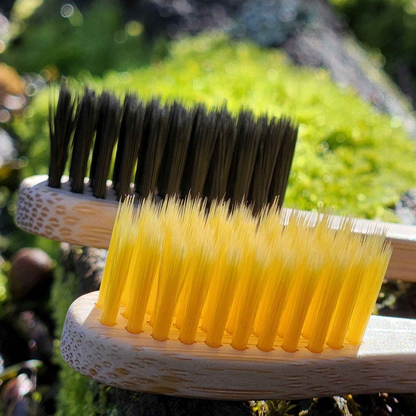 Cepillo de bambú