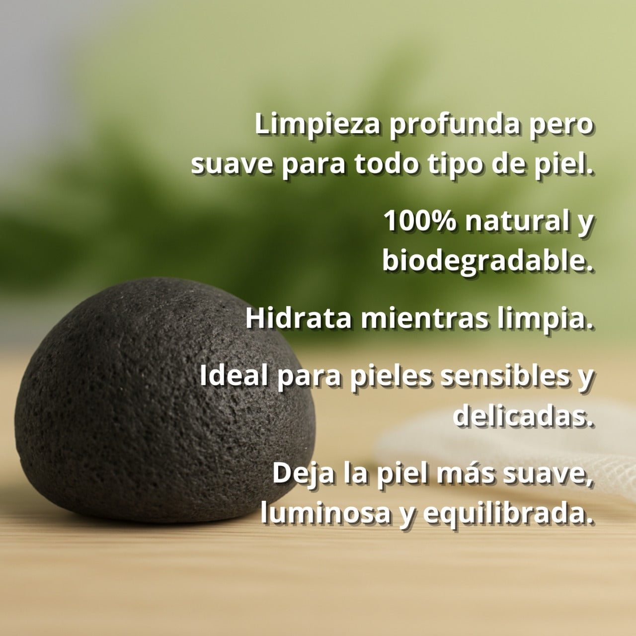 Esponja Facial Konjac con Carbón activado, limpieza profunda para pieles mixtas a grasas.
