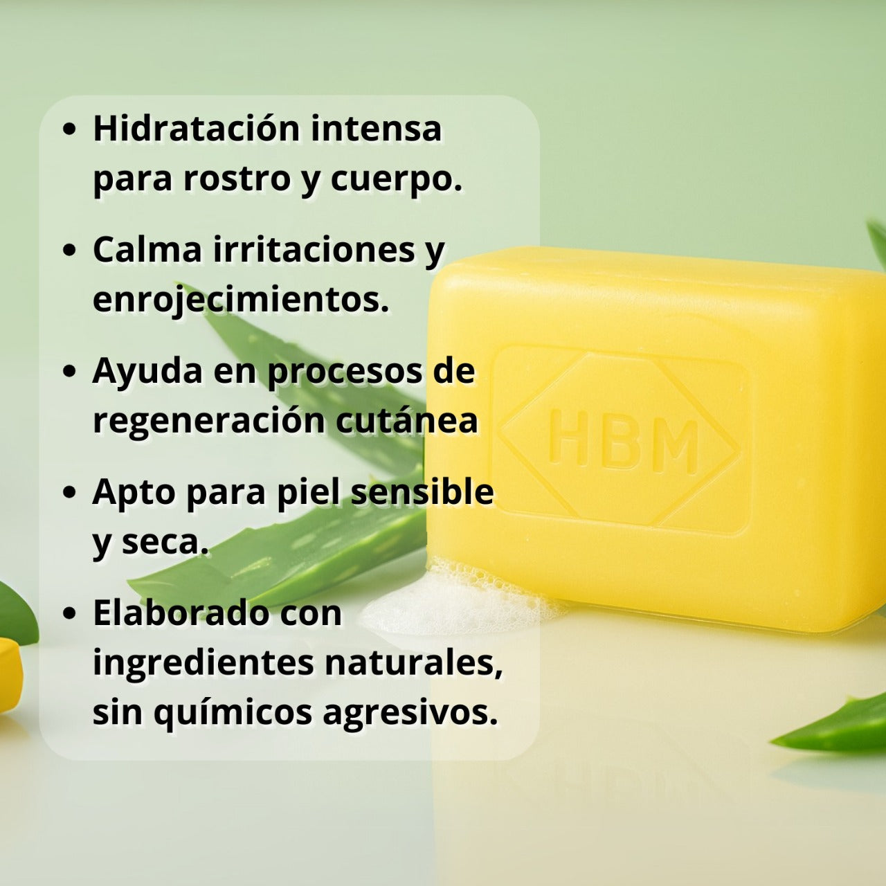 Jabón de piedra alumbre con aloe vera (piel seca y sensible)